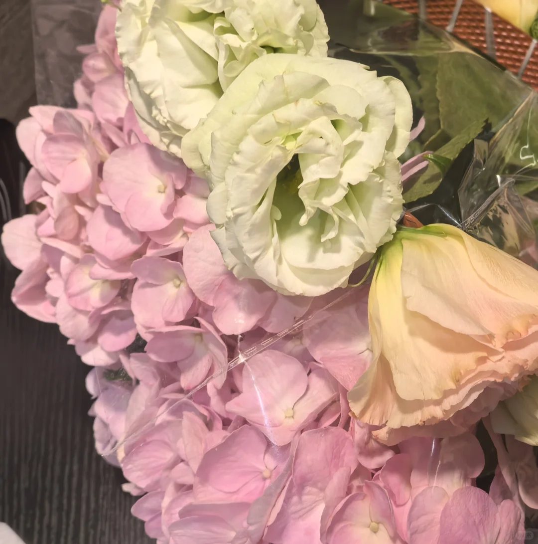 路灯明灭宛转 花朵愈加娇艳