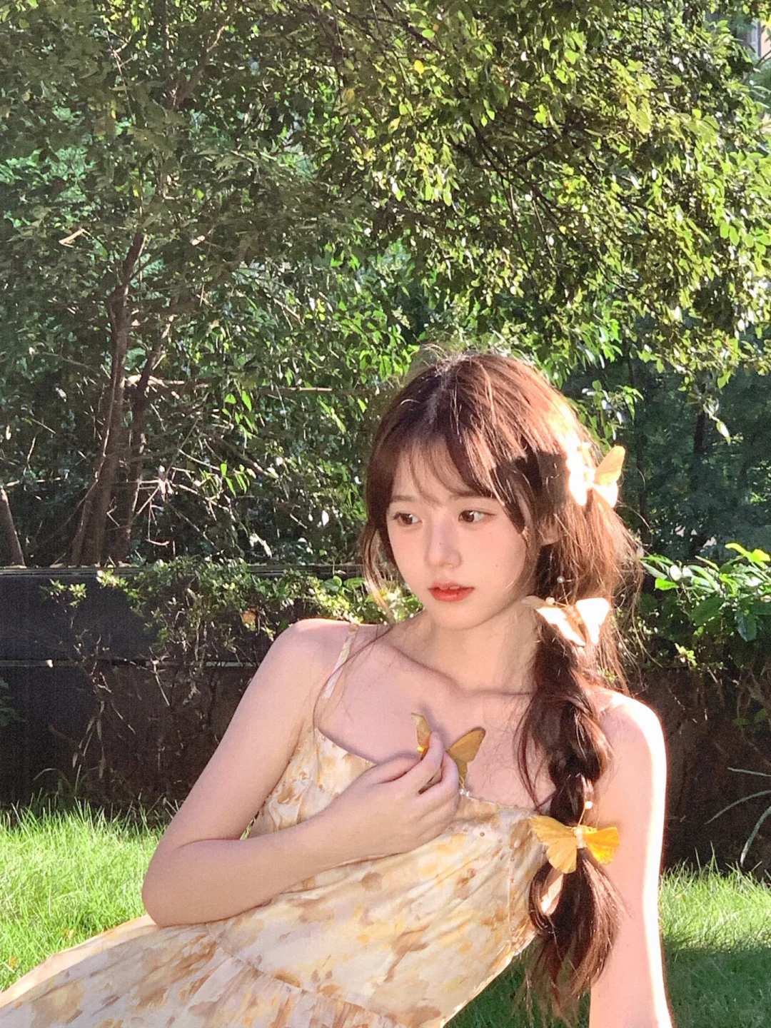 对着蝴蝶许愿🦋图文版来了（附链接）