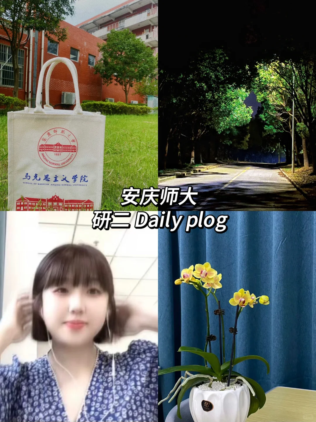 读研plog ｜27岁女大学生的读研日常碎片
