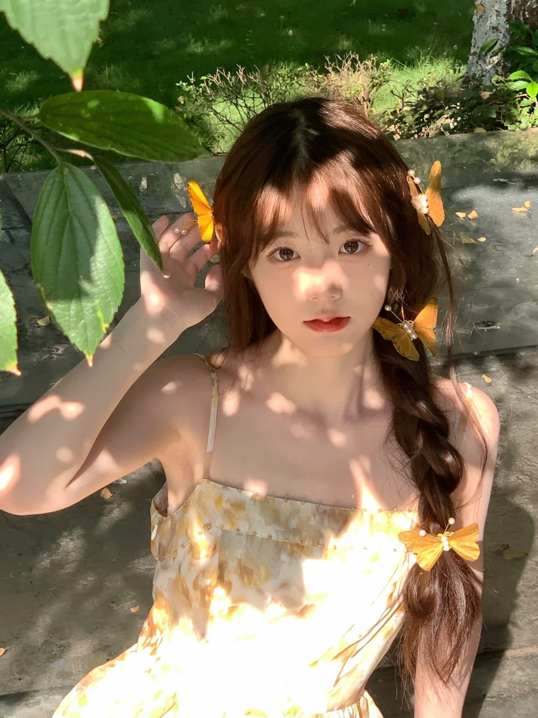 对着蝴蝶许愿🦋图文版来了（附链接）