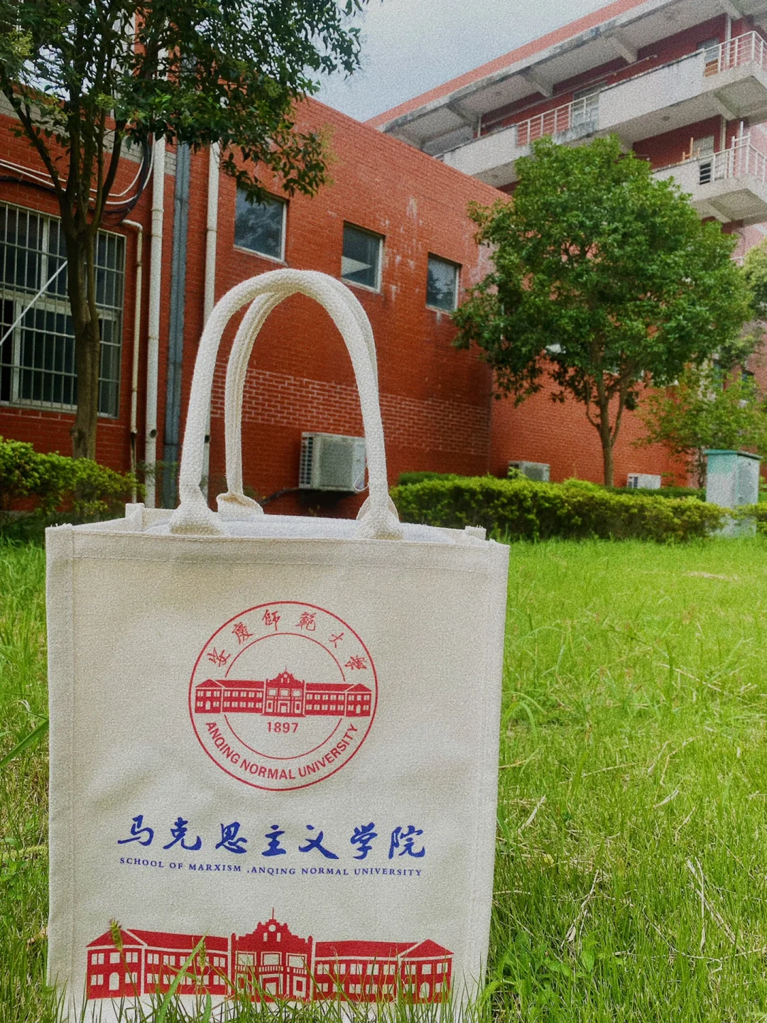 读研plog ｜27岁女大学生的读研日常碎片