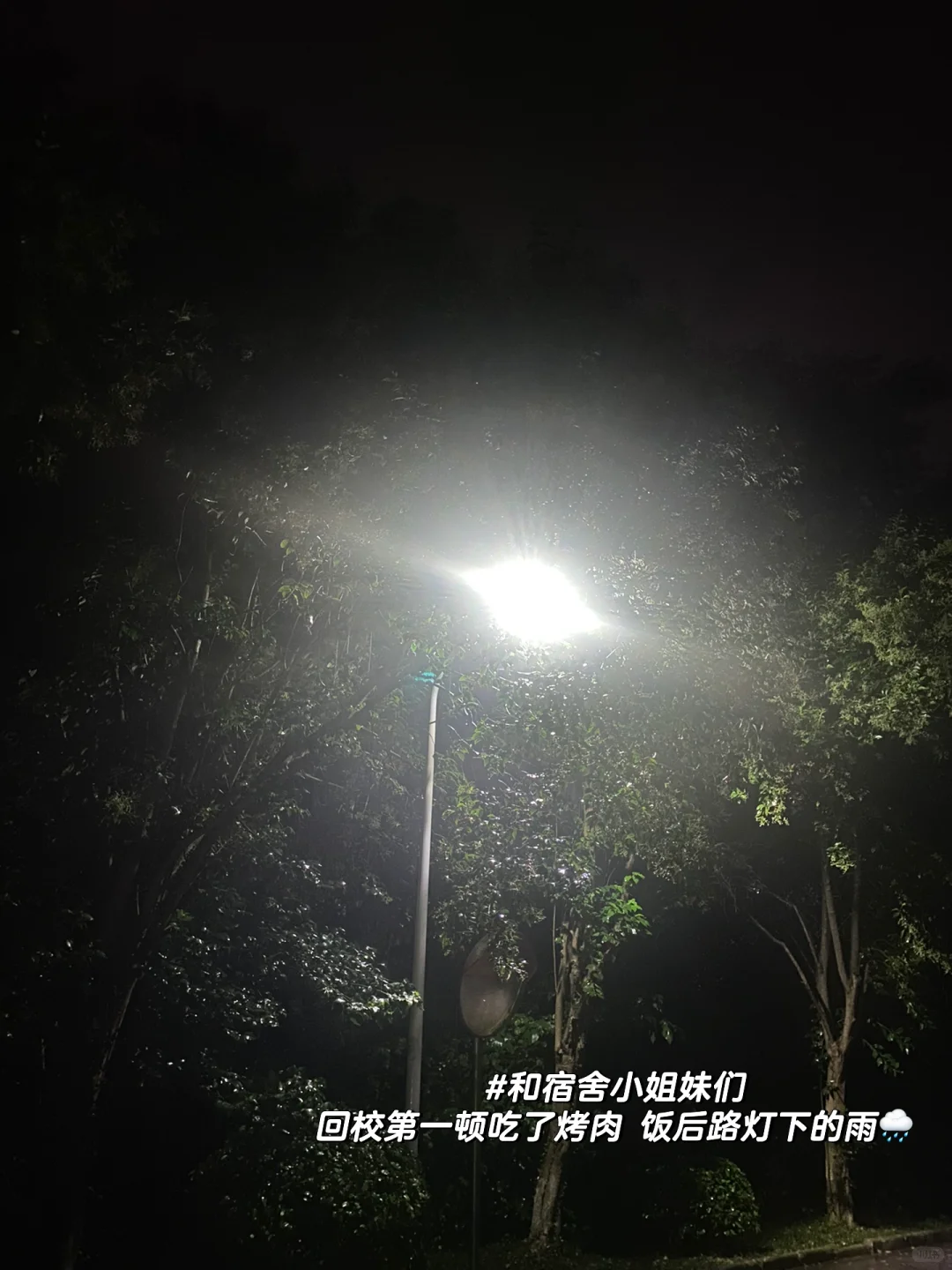 读研plog ｜就这样开始了我的研二生活。