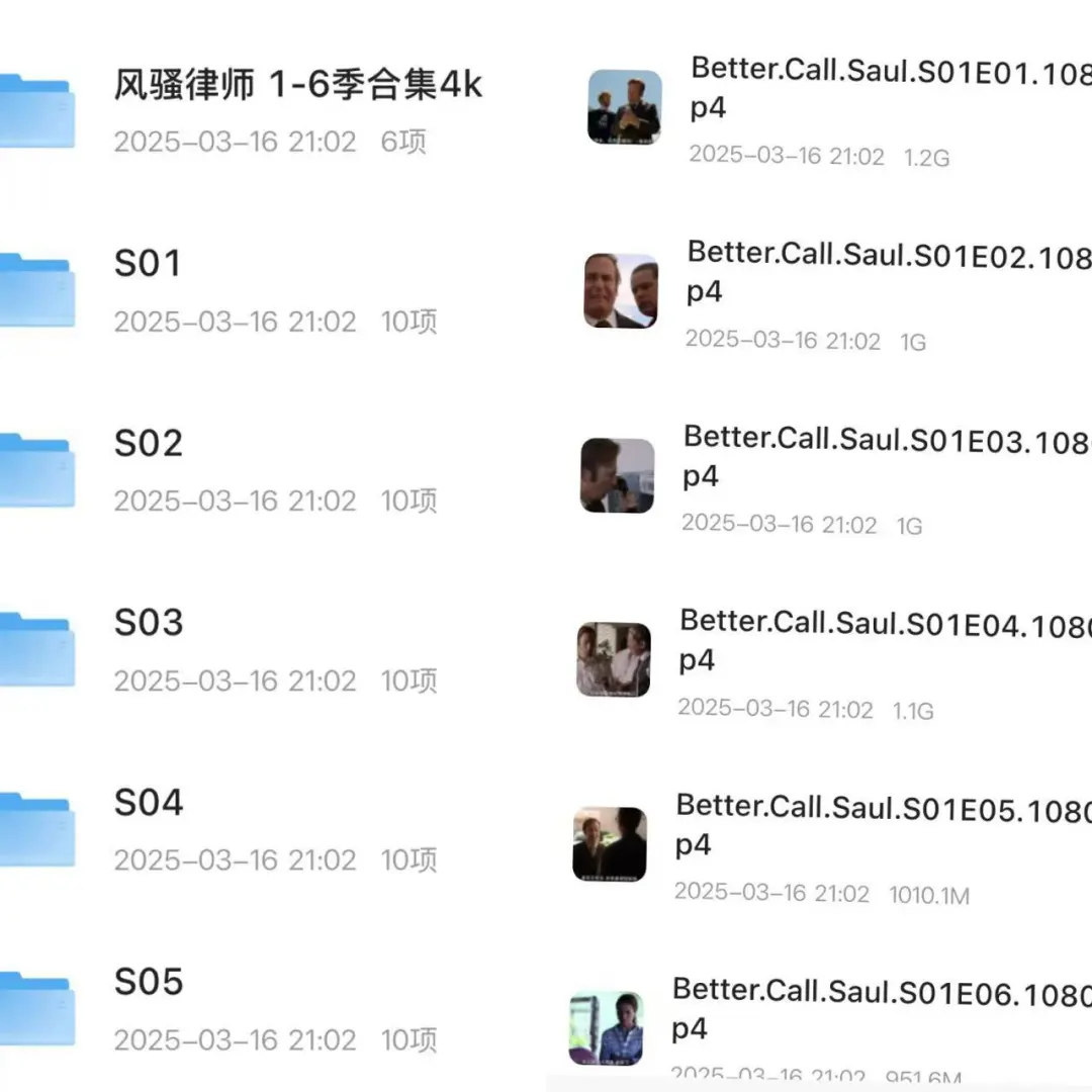 风骚律师1-6集打包
