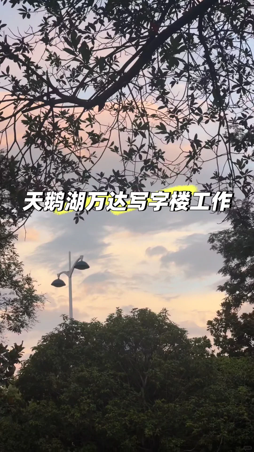 天鹅湖万达写字楼 附近找工作的看过来