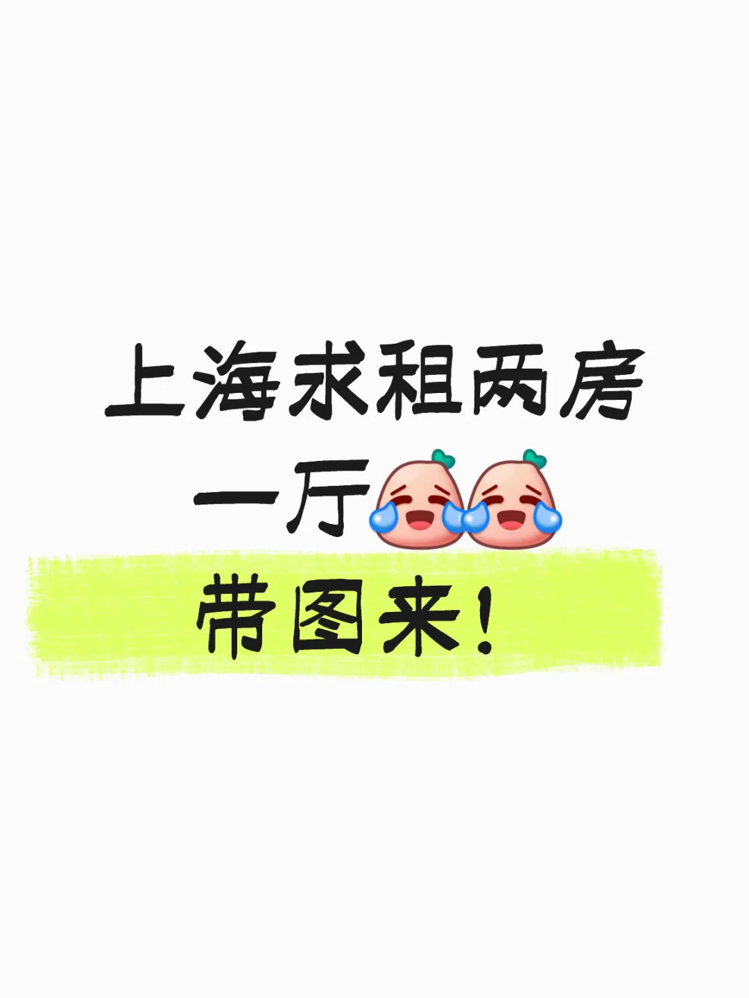 上海求租，两房一厅