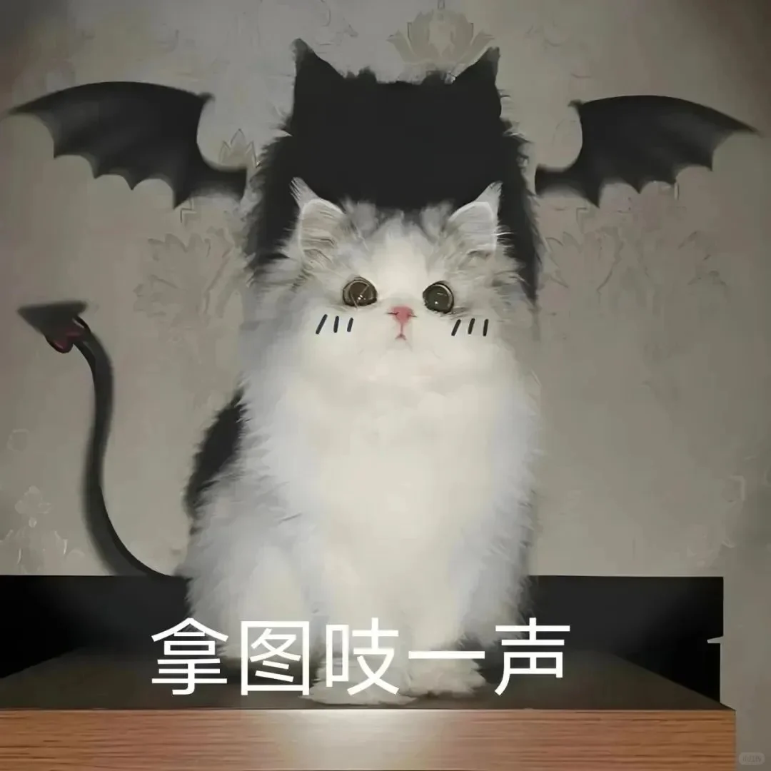 看到月亮的星星的儿时少女～