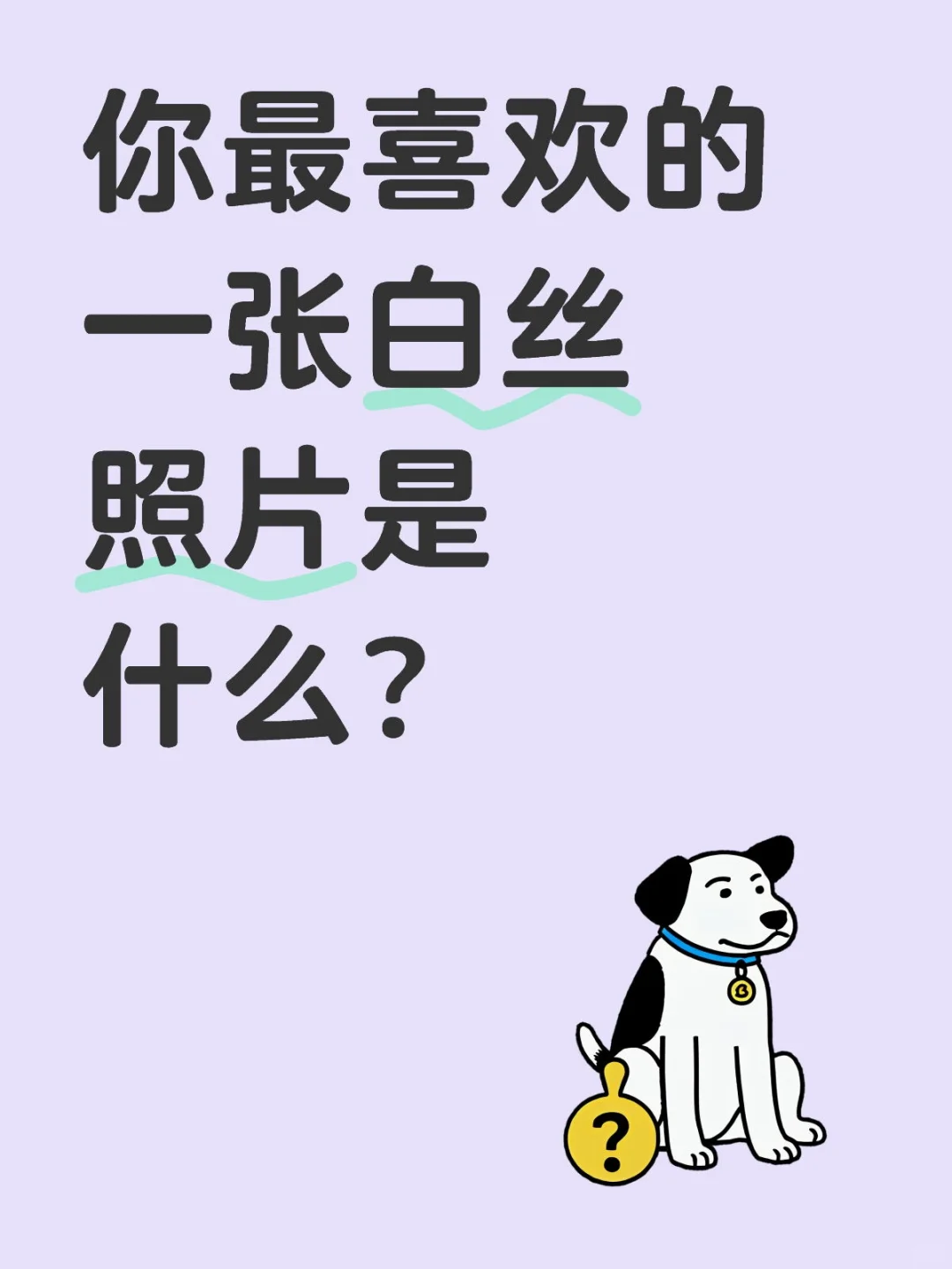 梦想拥有一个全是白丝的评论区