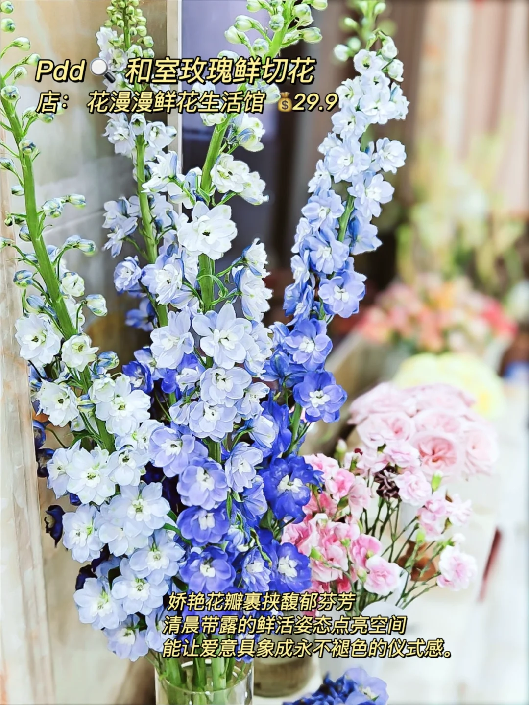 以花为笺写给时光的书花开成序浪漫永不缺席