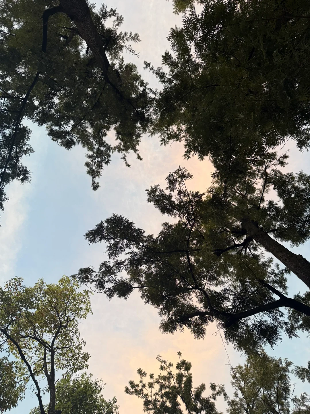 温柔中带着酷飒的黑