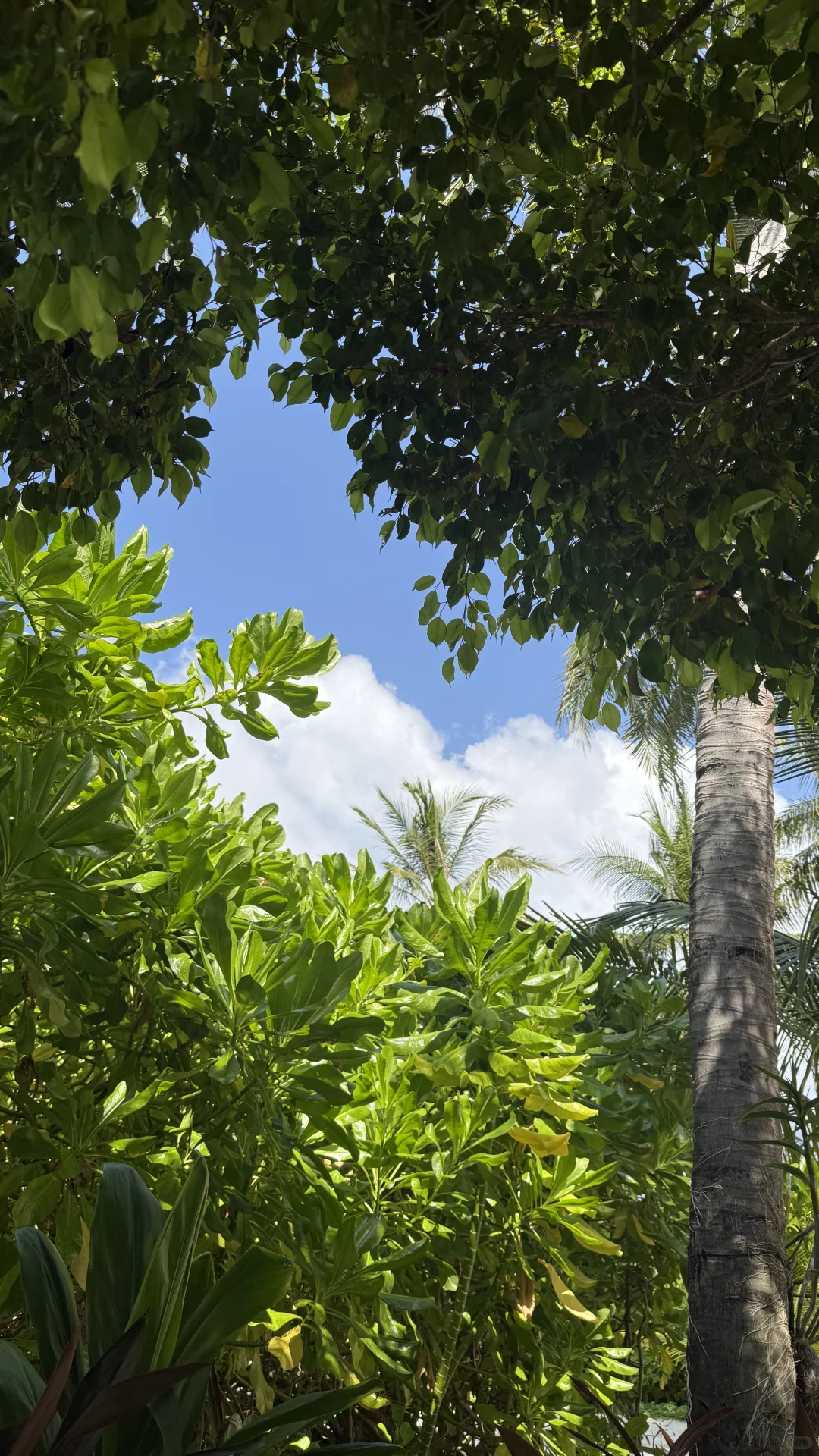 海岛才是姐的舒适区👙