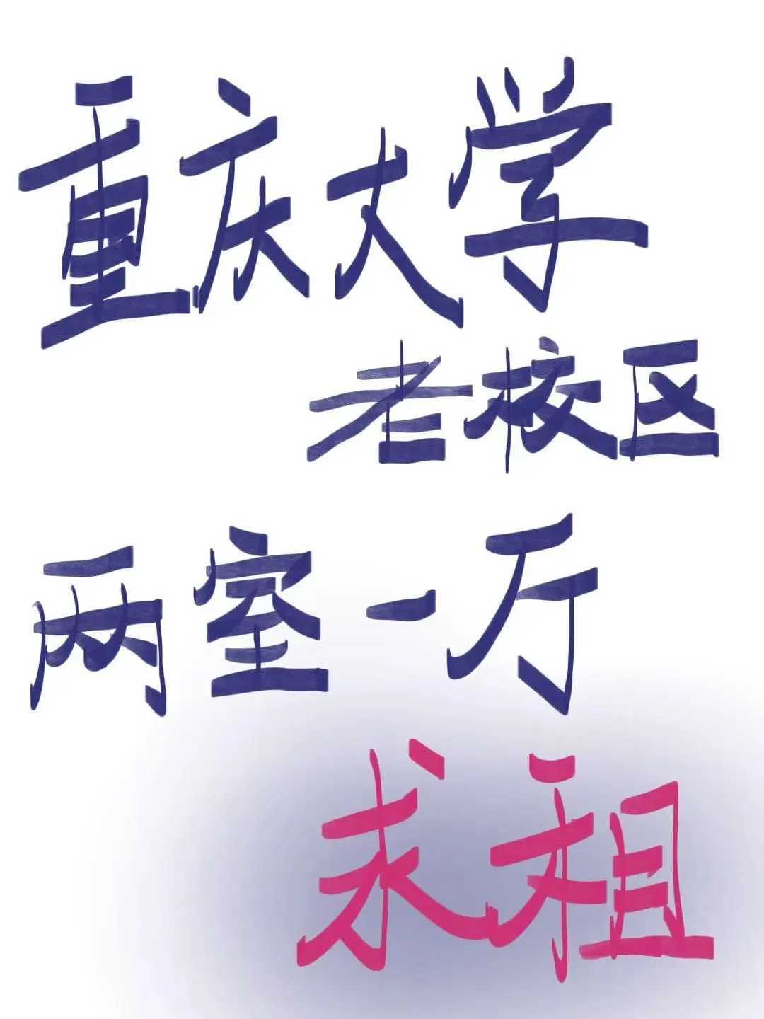 重庆大学两室一厅求租