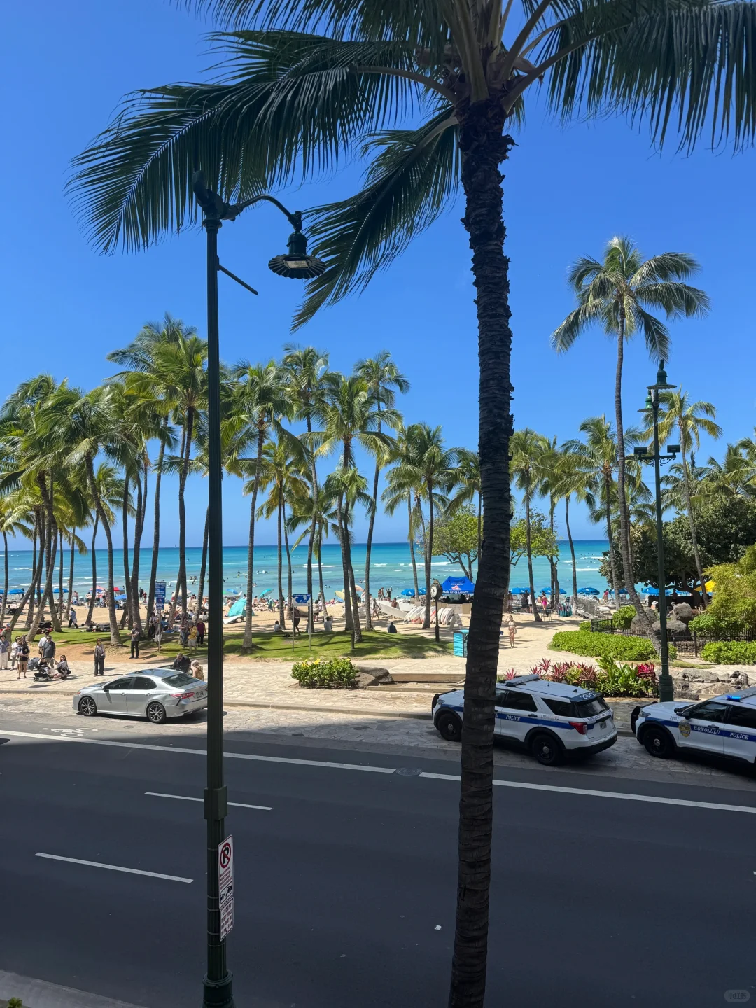 🌴夏威夷岛民碎片🌺