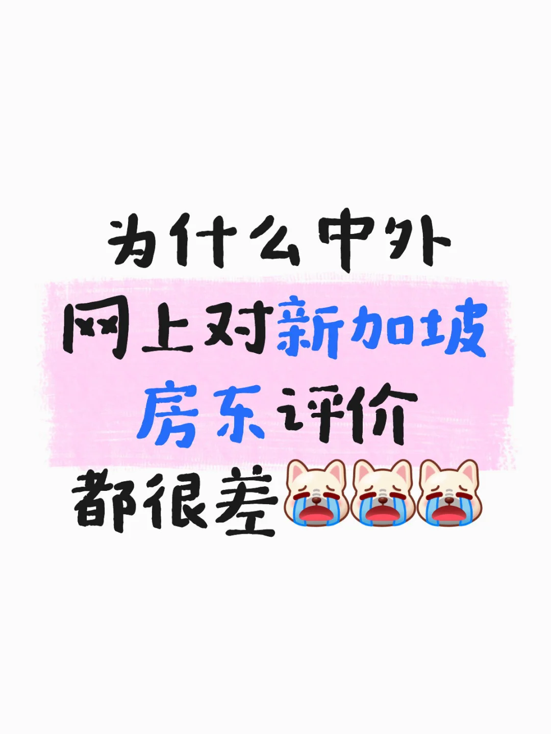 为什么中外网上对新加坡房东评价都很差