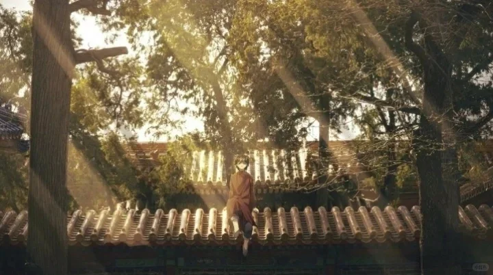 稻米壁纸（横屏）