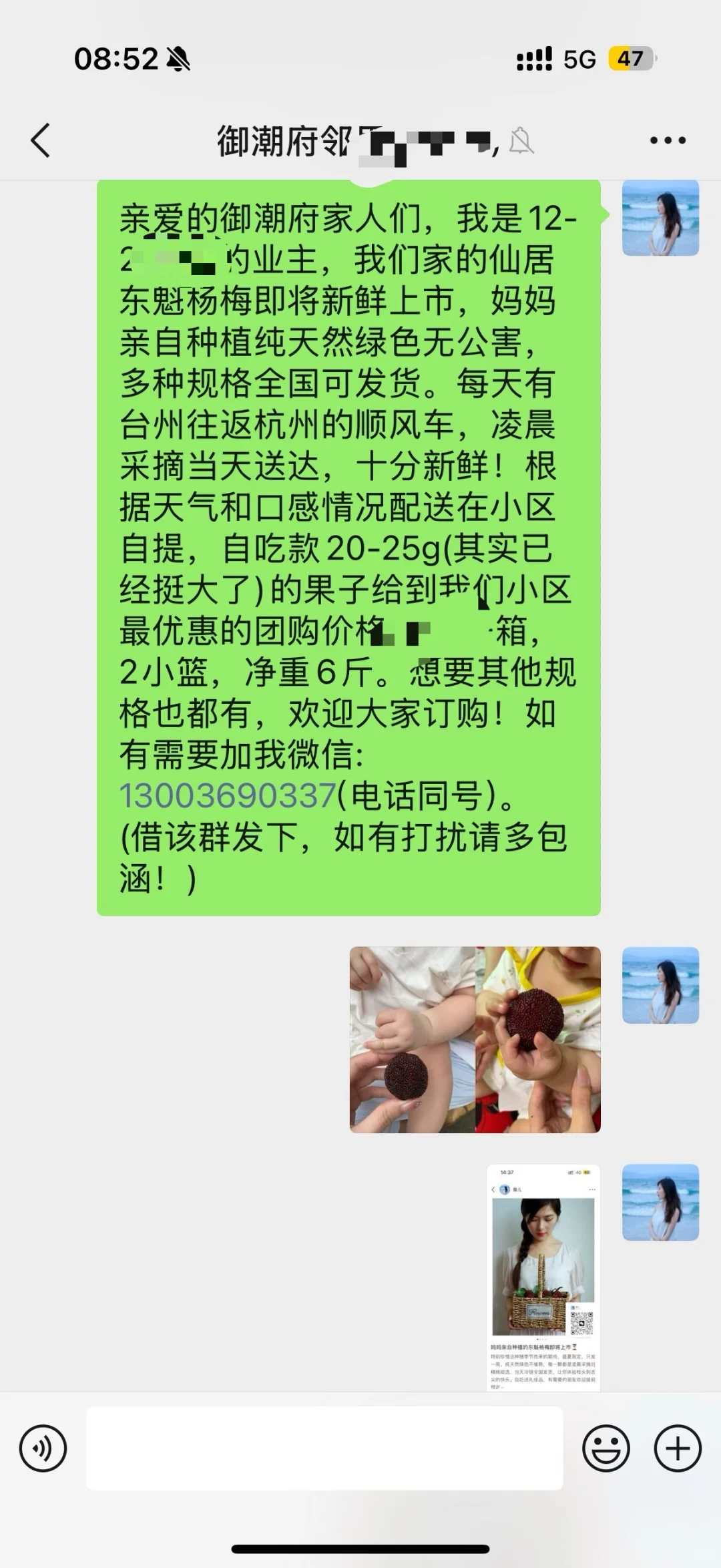 第一次在豪宅业主群做东魁杨梅团购什么体验