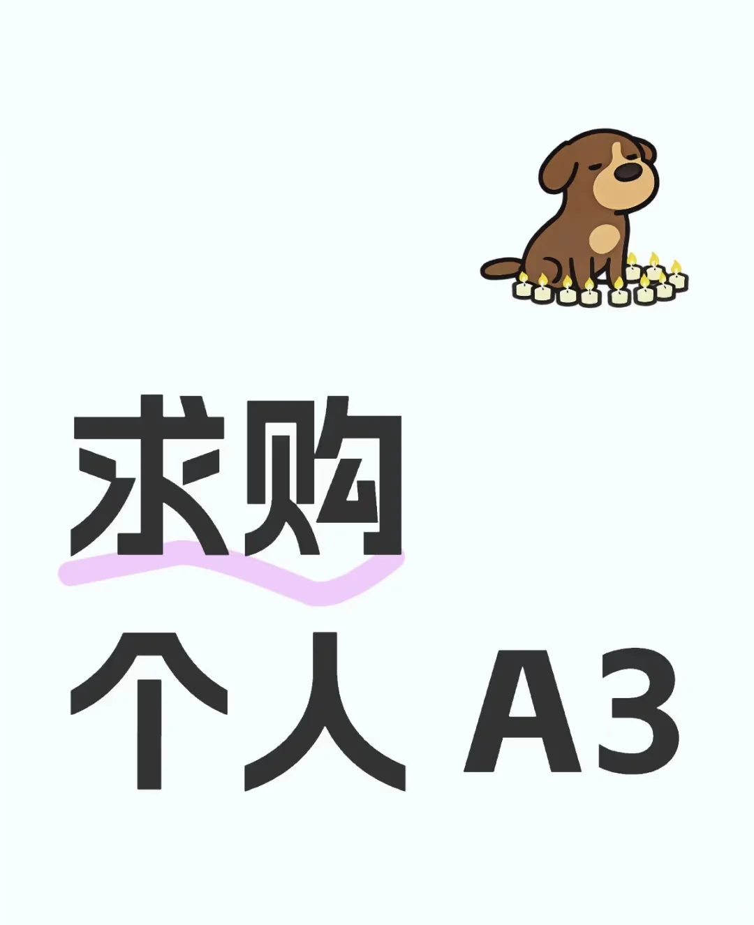 个人求购A3 19-22年