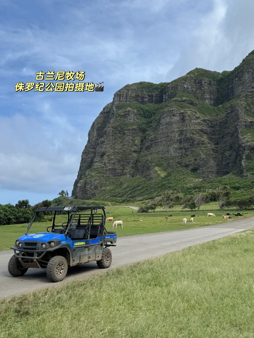 🌴夏威夷岛民碎片🌺