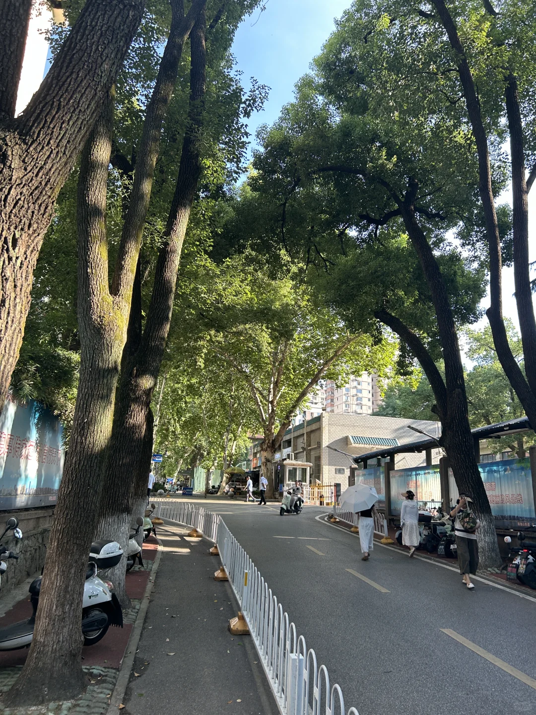 在武汉大学门口买一套首付19万的房子