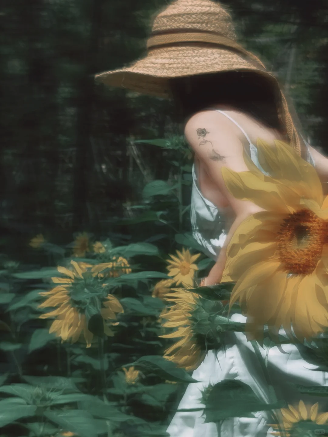 森林里的女人