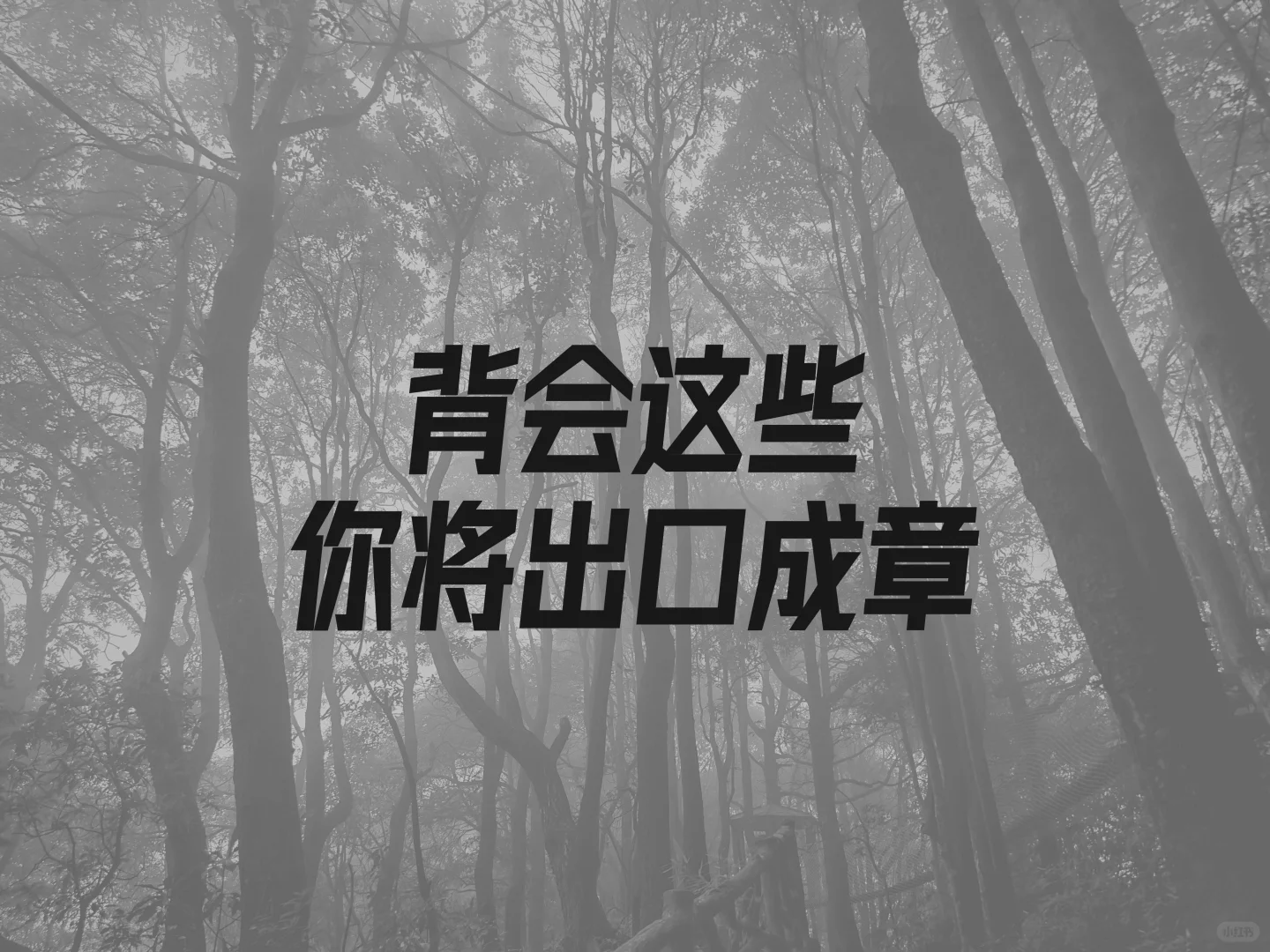 那些撩人心弦的诗句，背会你将出口成章
