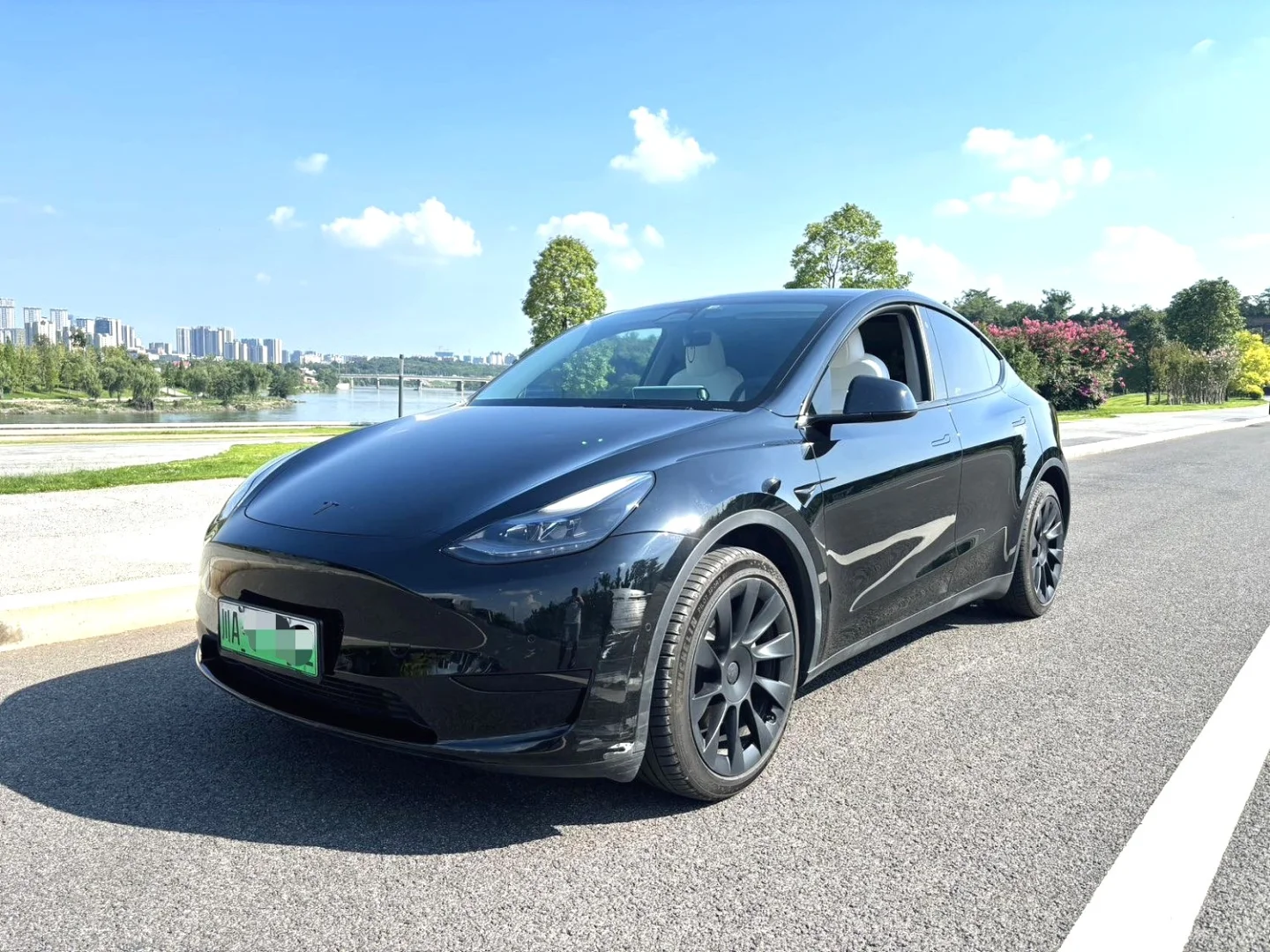 成都 个人求购modelY