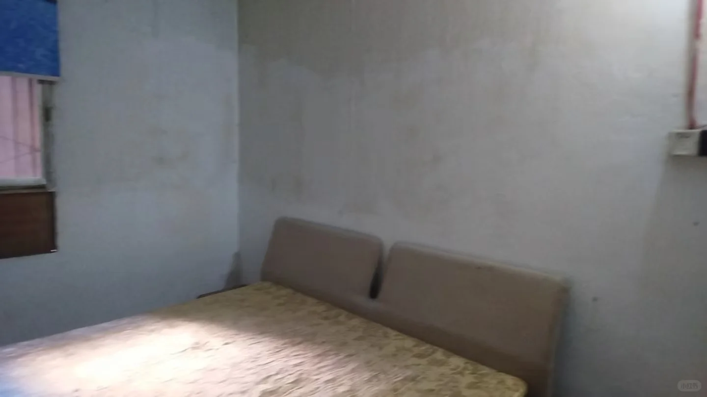 沙坪坝房屋出租