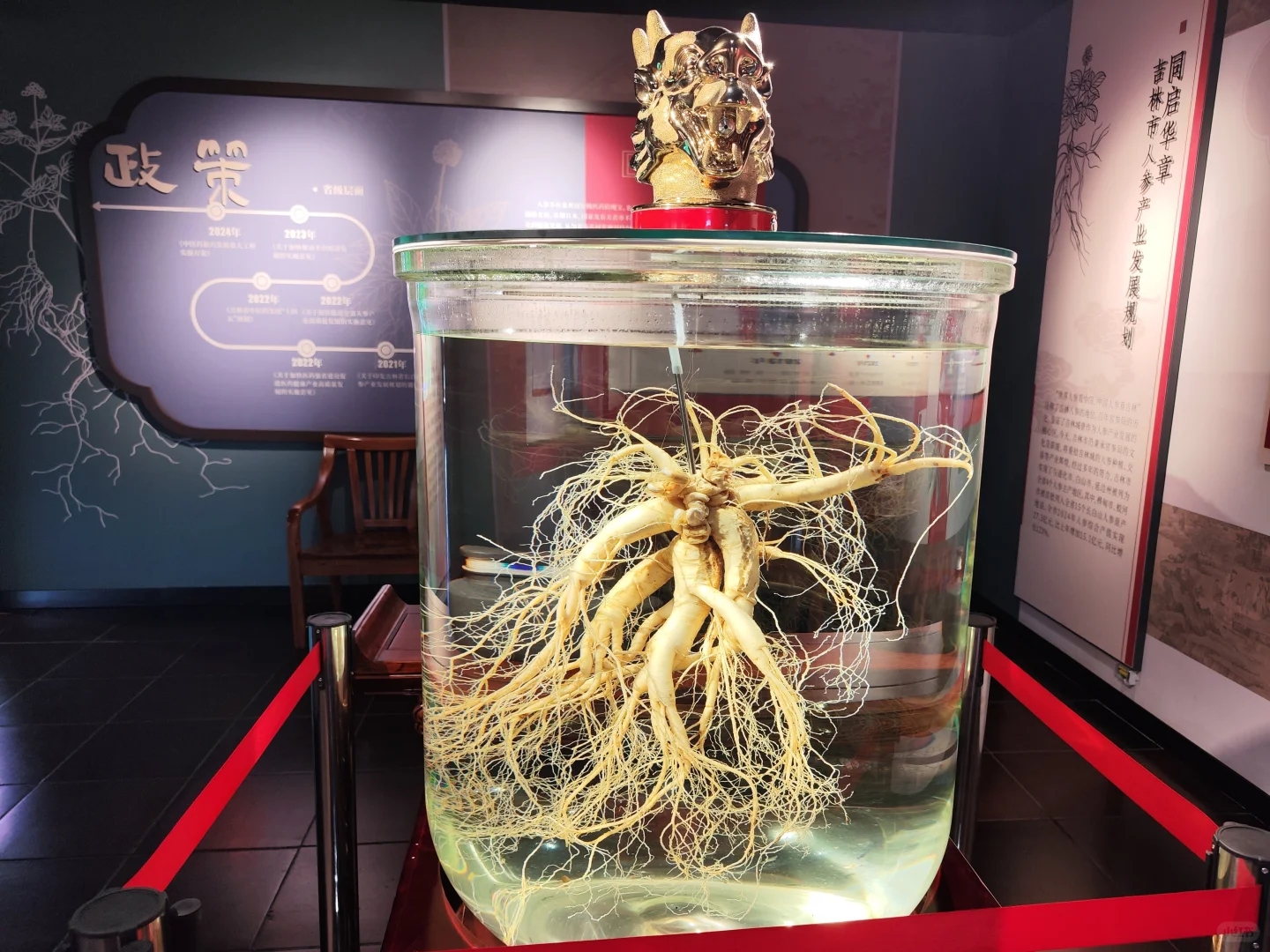 吉林官参局·探秘东北参史