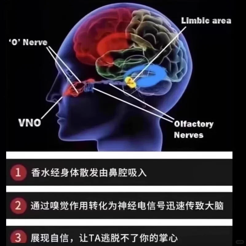 ✨🔥这款调情香薰太勾人！💃