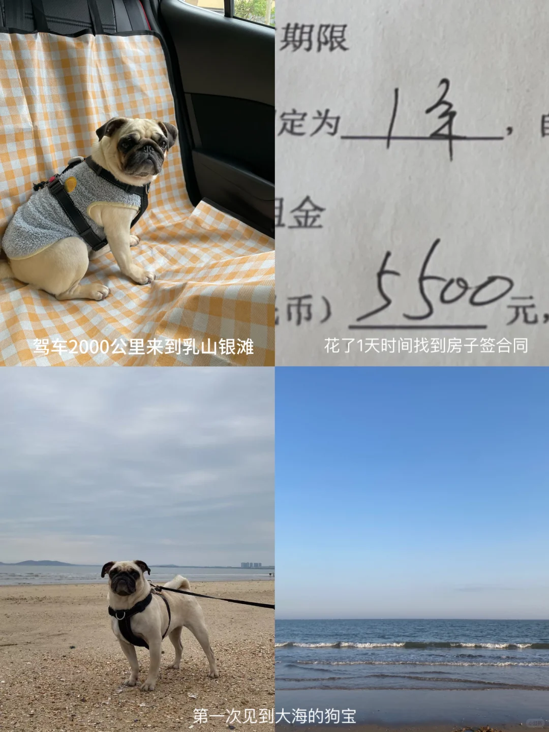 5500一年！2室1厅的房子，我租到了