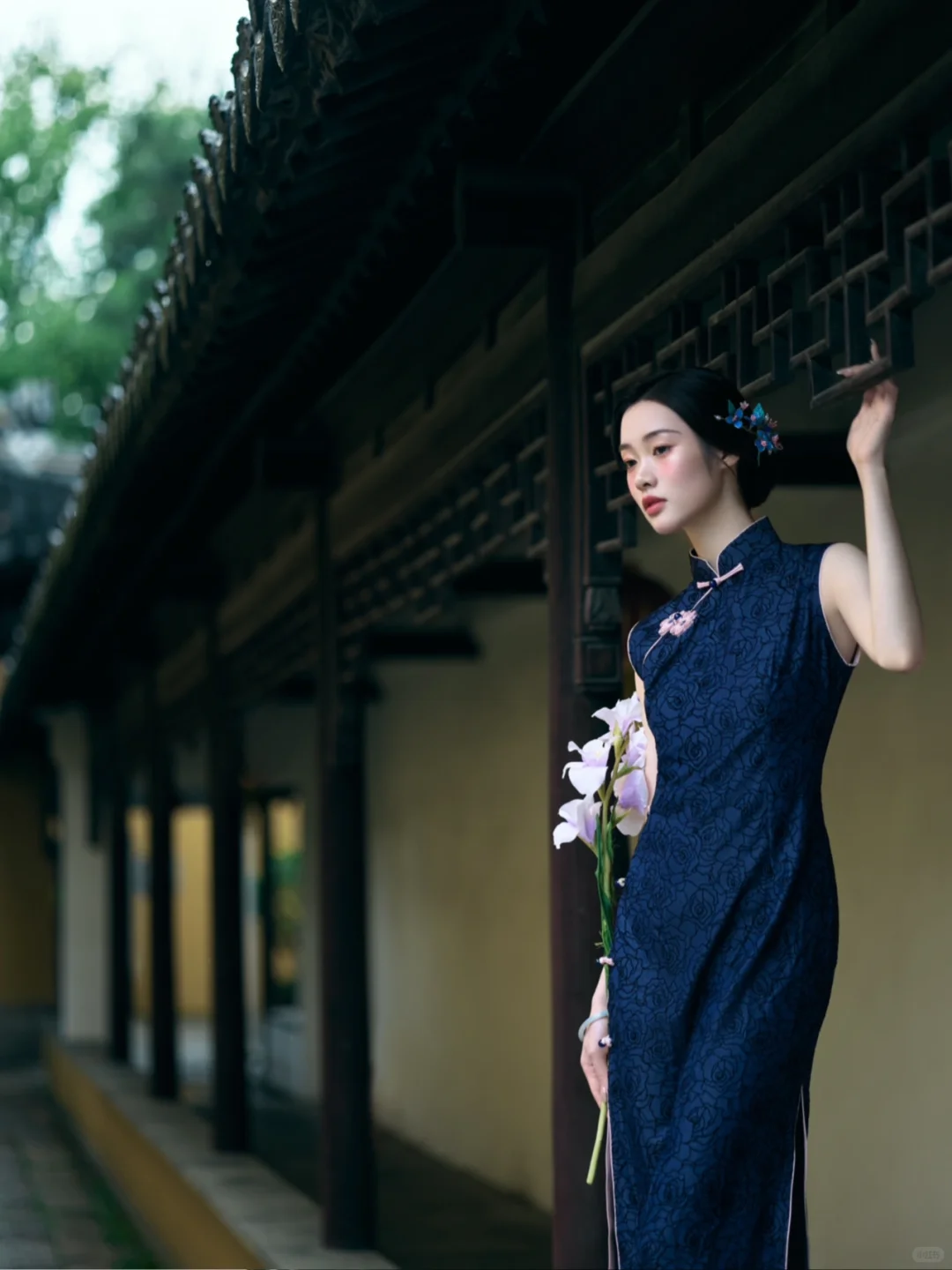 在江南写上一封信名为：青春《窈窕淑女》