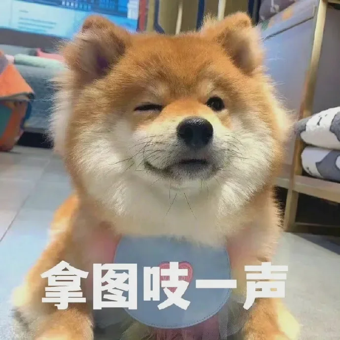 女生头像｜申请成为你长期不换的头像🍒