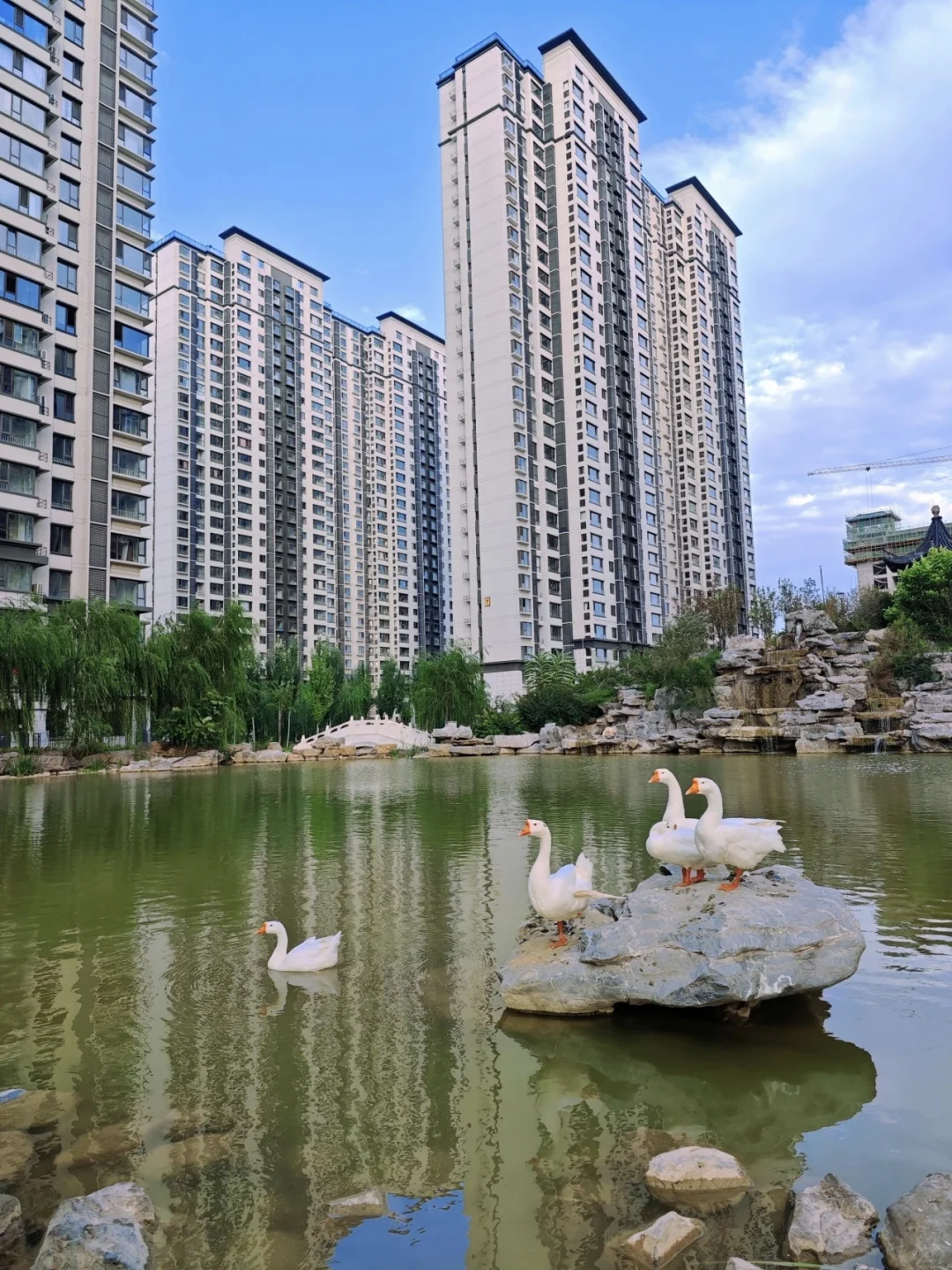 汾阳市钰龙湾 楼房出售 114平 中间楼层，