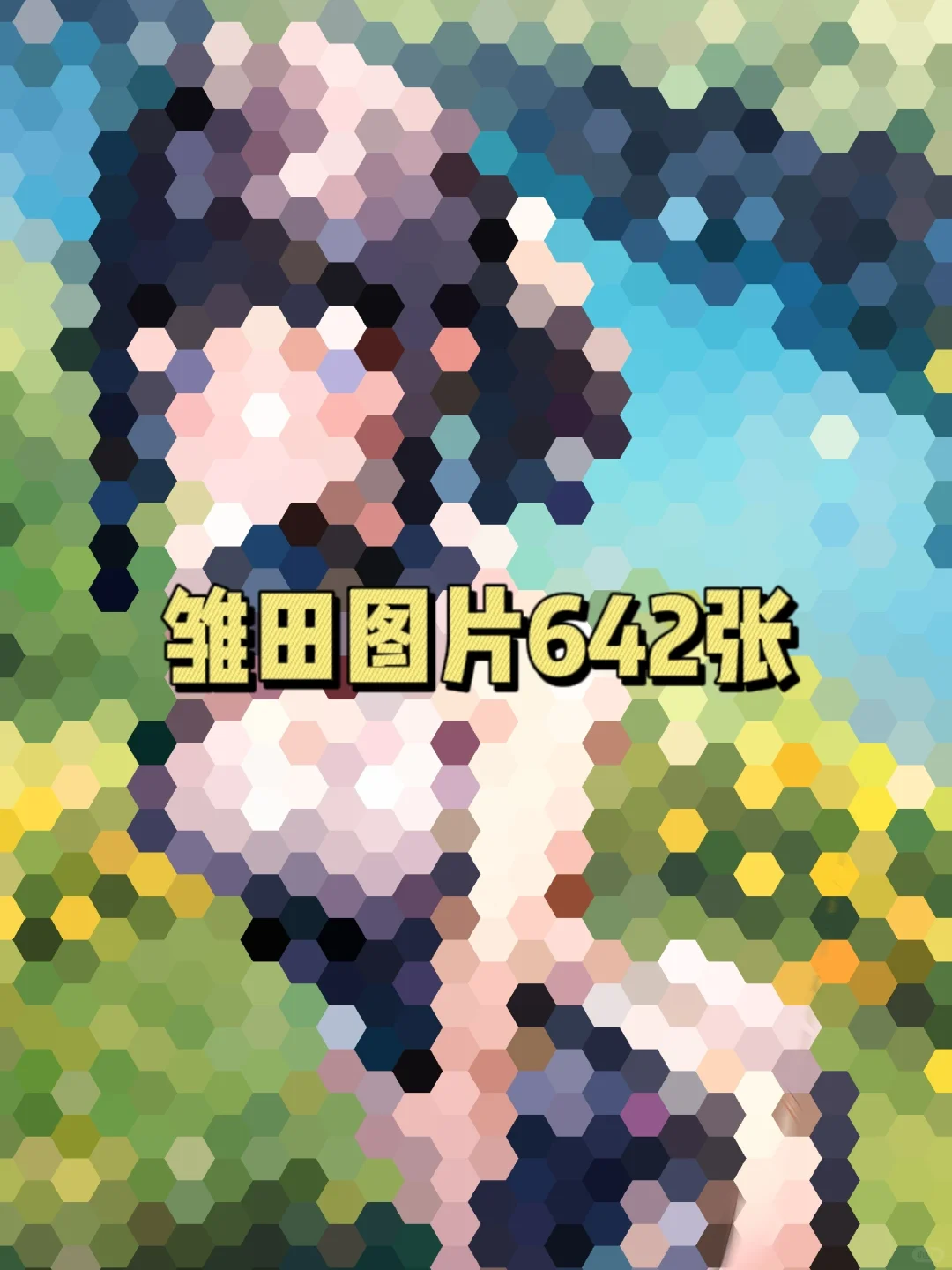 雏田图片642张