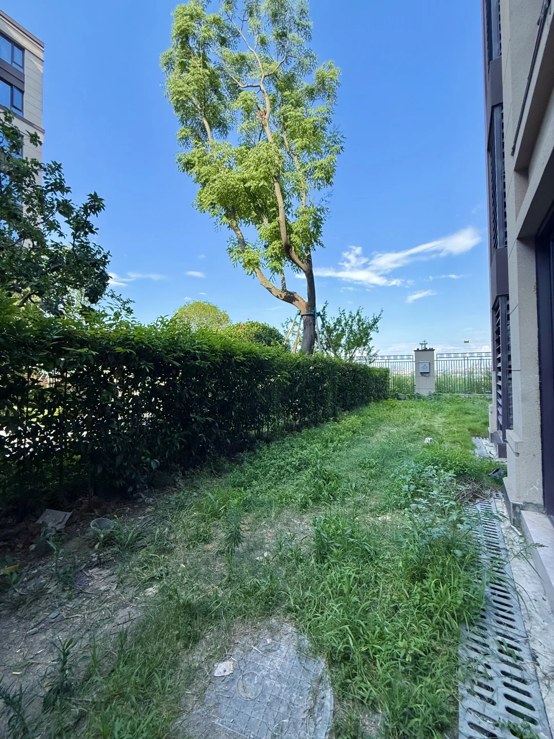 勒是重庆🏡120万能买到带近100平的花园洋房