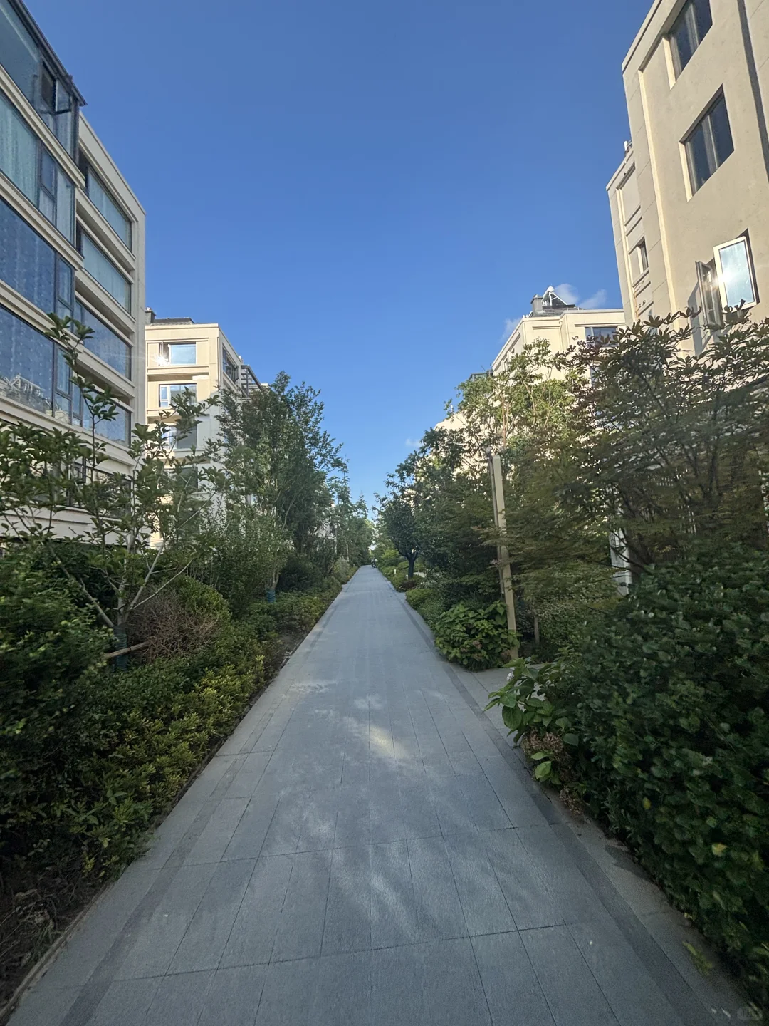 太仓天镜湖｜175万住花园洋房|性价比我哭了