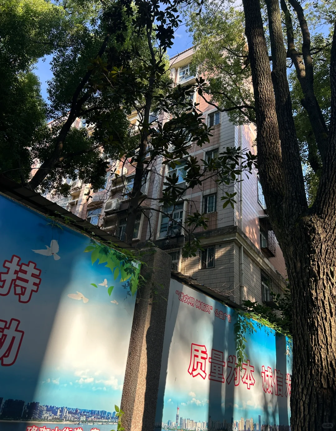 在武汉大学门口买一套首付19万的房子