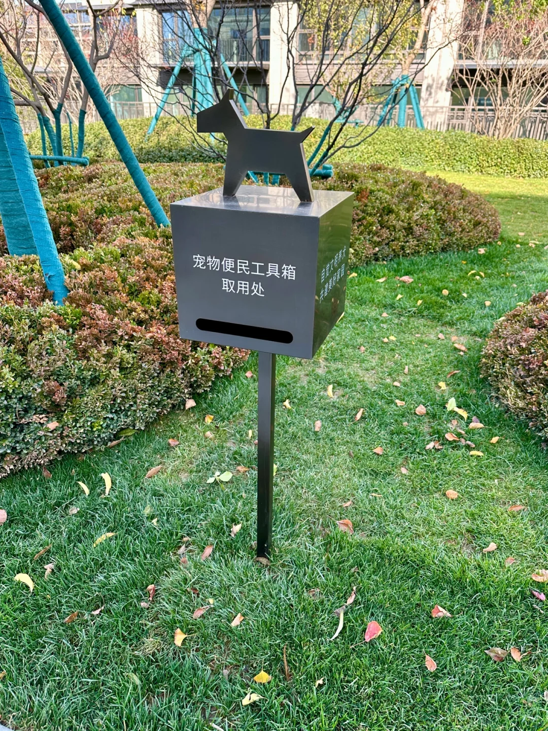 精装交付了🩵