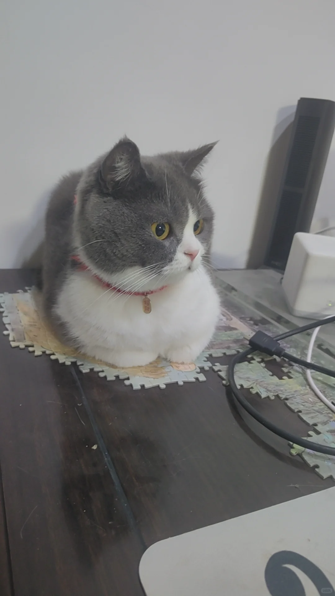 凯德璟高府业主速来