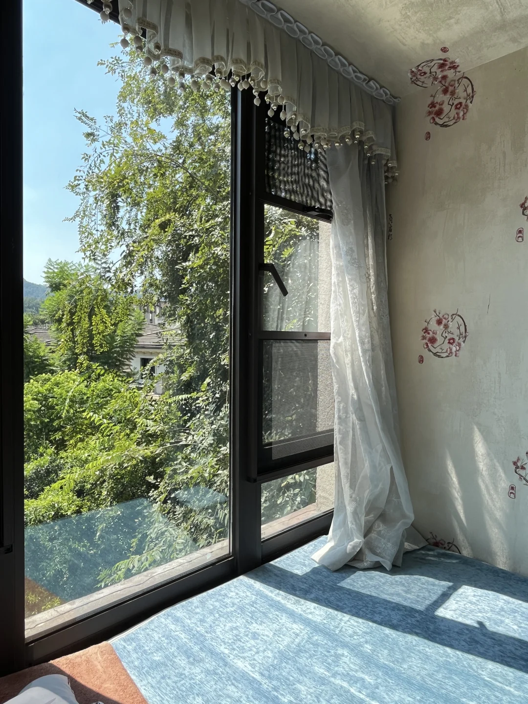 大学城🏡树景洋房直降50万，清水价买精装房