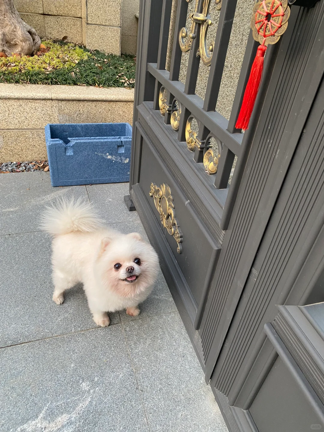 宅在这样的别墅里🏠这就是父母给女儿的底气