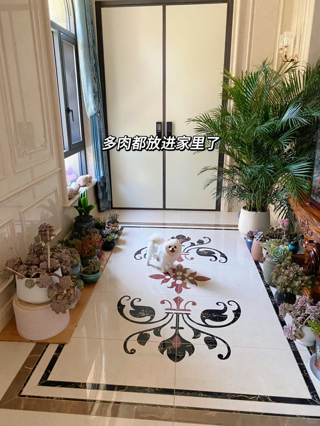 宅在这样的别墅里🏠这就是父母给女儿的底气