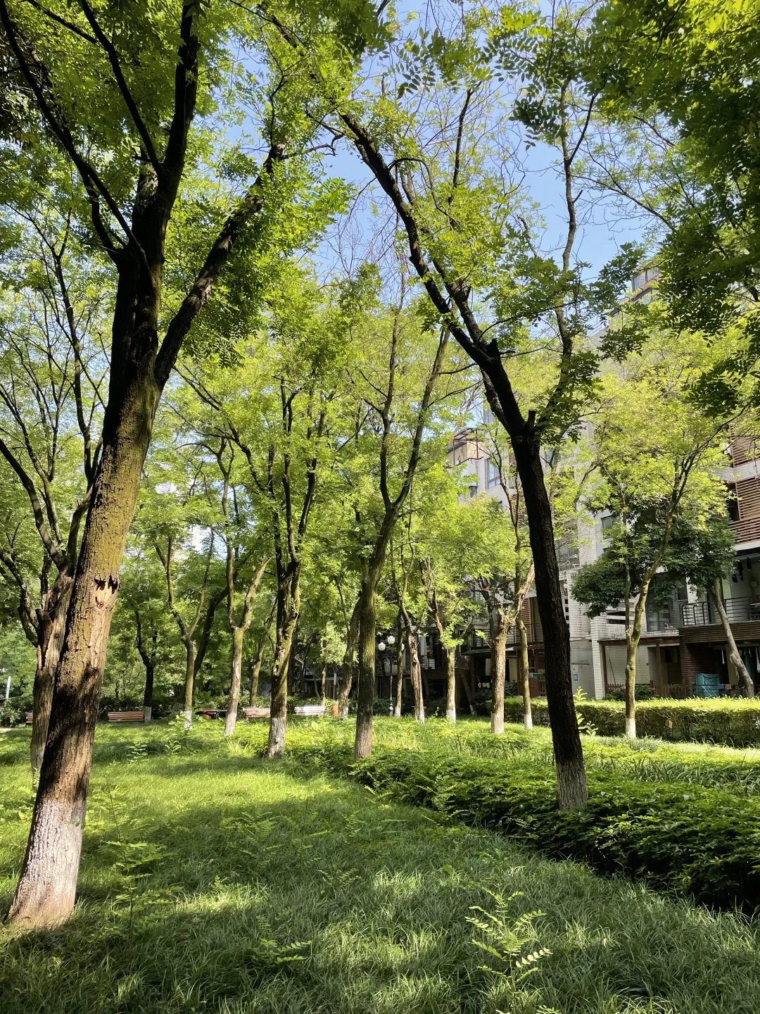 🏡重庆的老洋房，还是很有味道的🍃