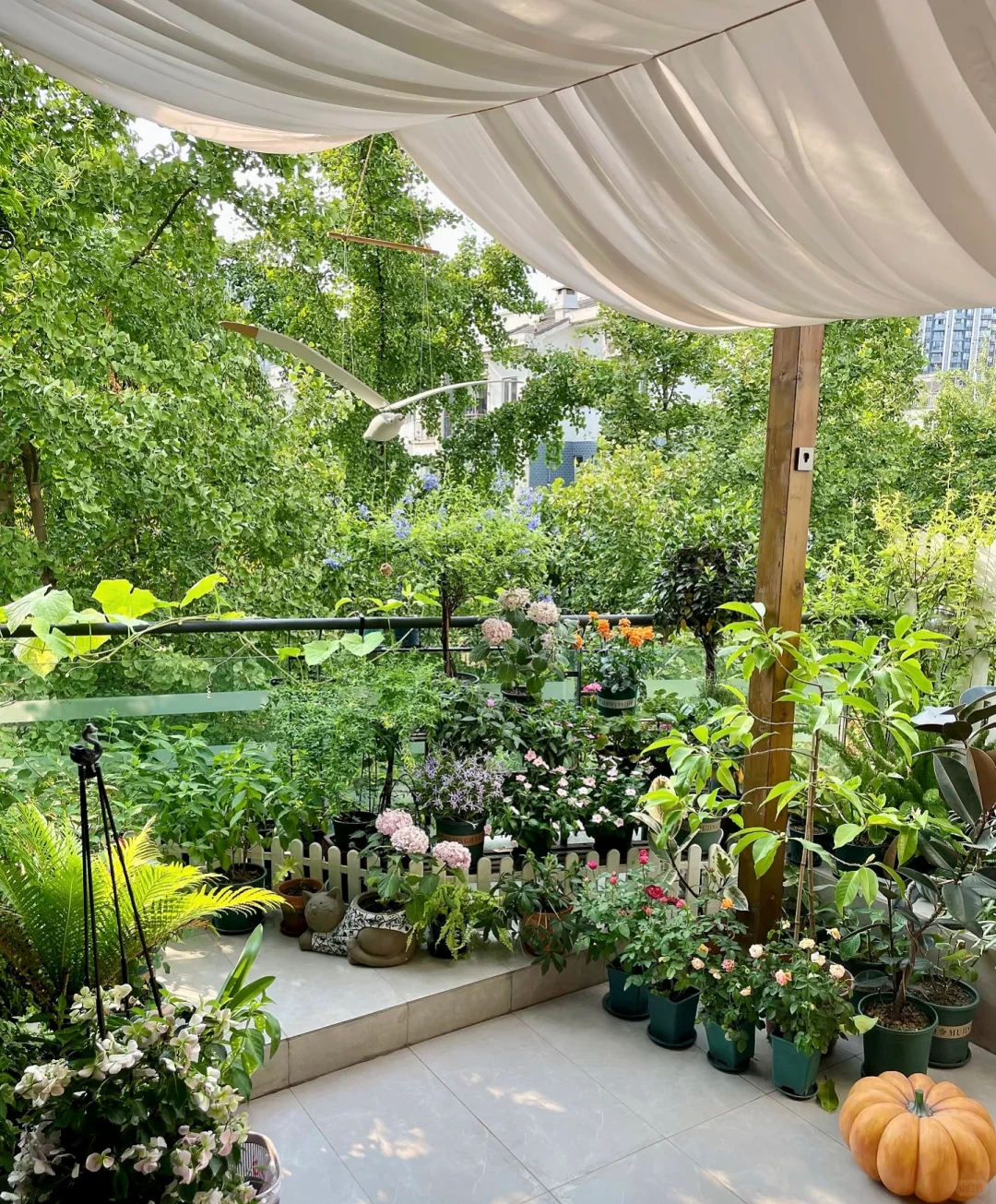 因个人原因🏡悦来洋房带70平花园130万