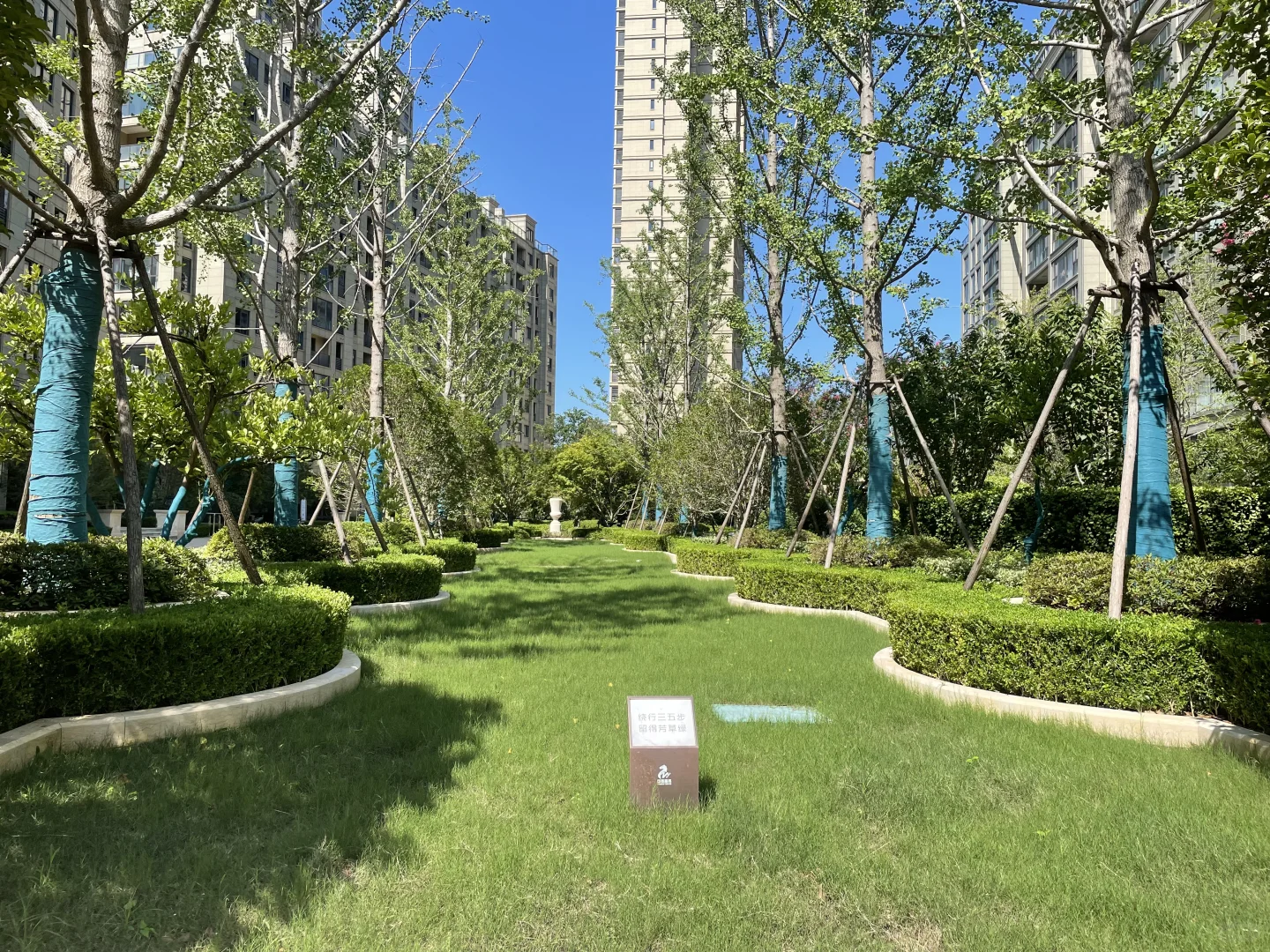 金水湾凤凰城洋房，美到我心巴上！🏡✨