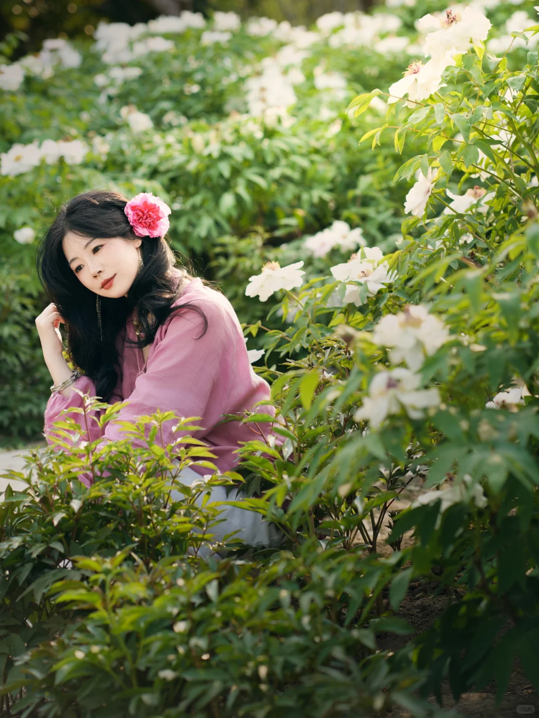 上海植物园牡丹︱做花园里最娇艳的那朵花