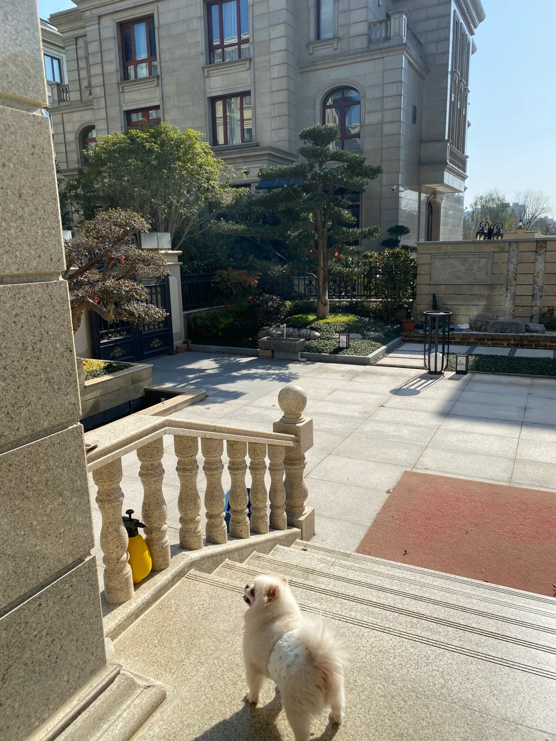 宅在这样的别墅里🏠这就是父母给女儿的底气