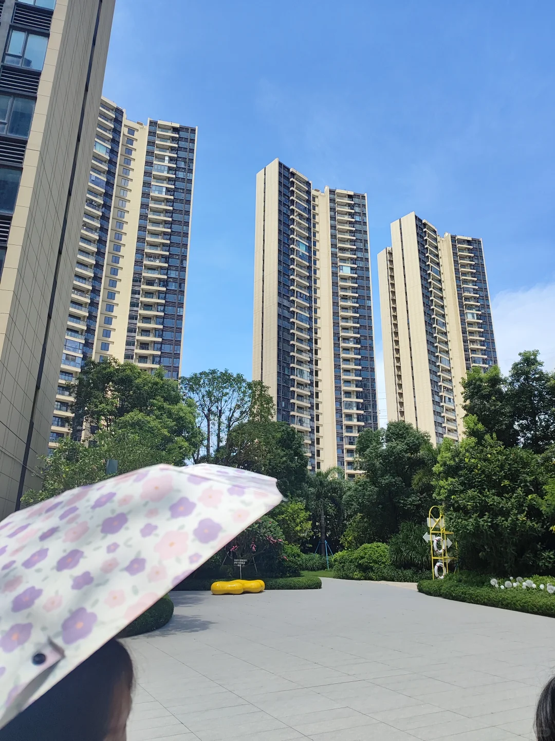 自从买了南山后海65平的小两房，我躺平了。