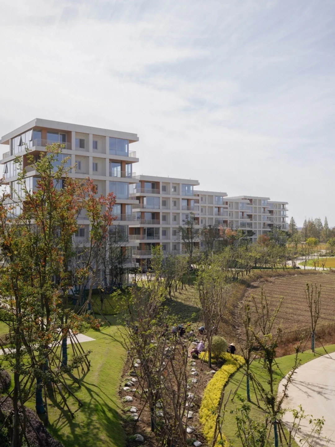 开拓新的乡村住宅模式 - 东山岛社区