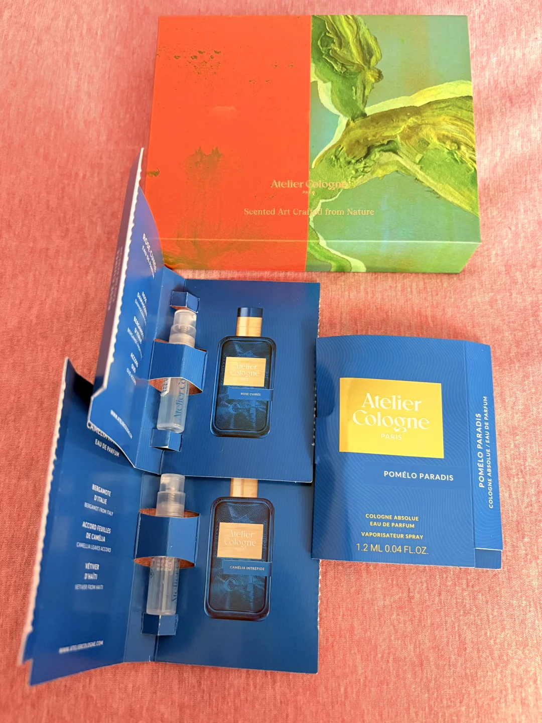 茶花香颂+暗语玫瑰
