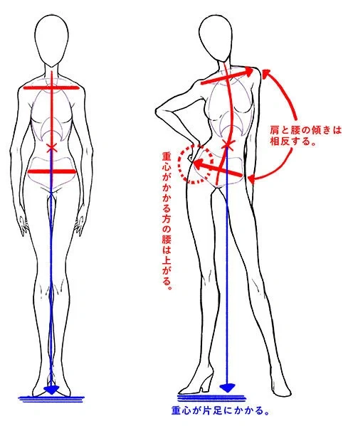 人体动态参考 | 很妖娆的人体动态姿势参考